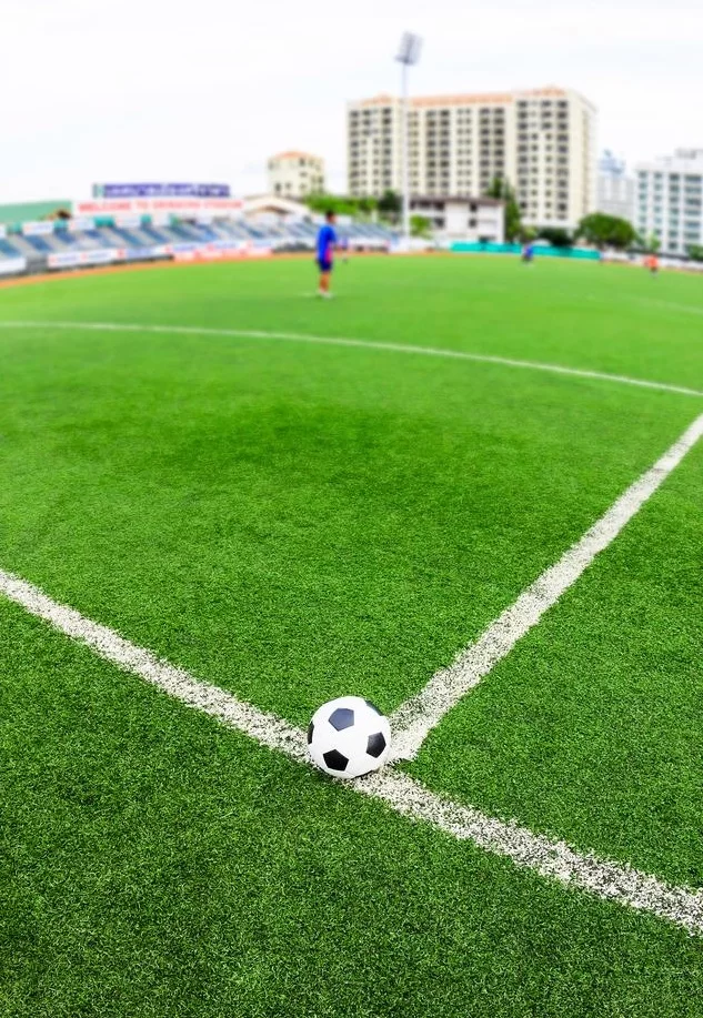 Voetbalgras