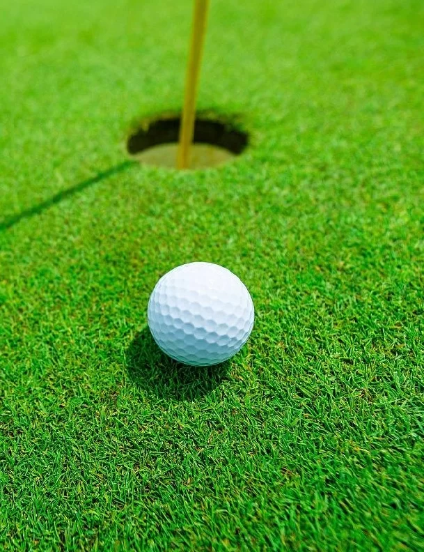 Golfgras